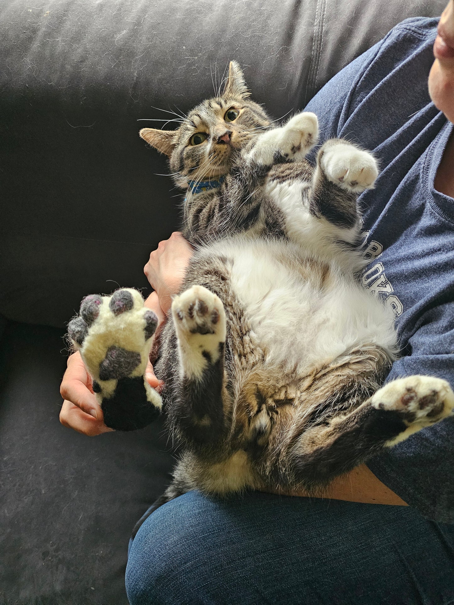 Side-by-side of Grey Tabby Lucky Cat Foot and Greyson. White fluffy paw with grey and pink speckled toe beans and paw pad. Ankle is a lighter grey with a large black spot. Pictured as keychain with black keyring and flower charm.