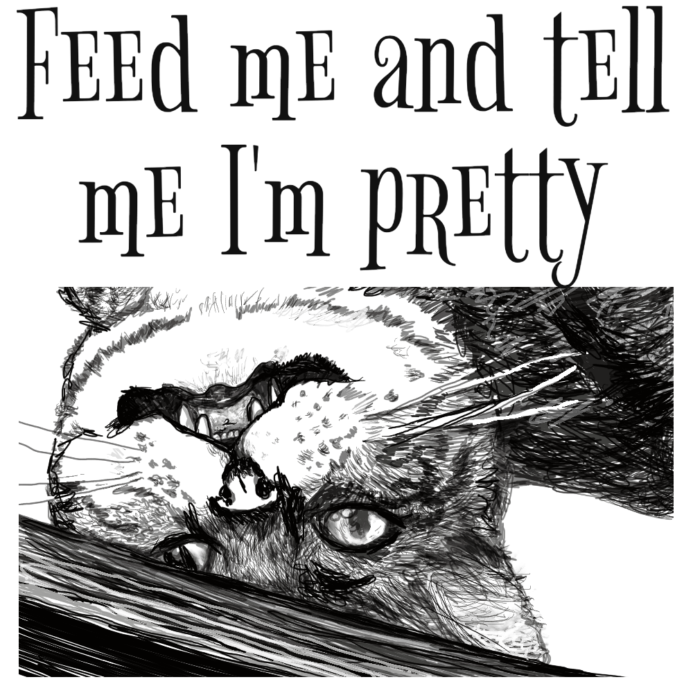 Feed Me and Tell Me I'm Pretty