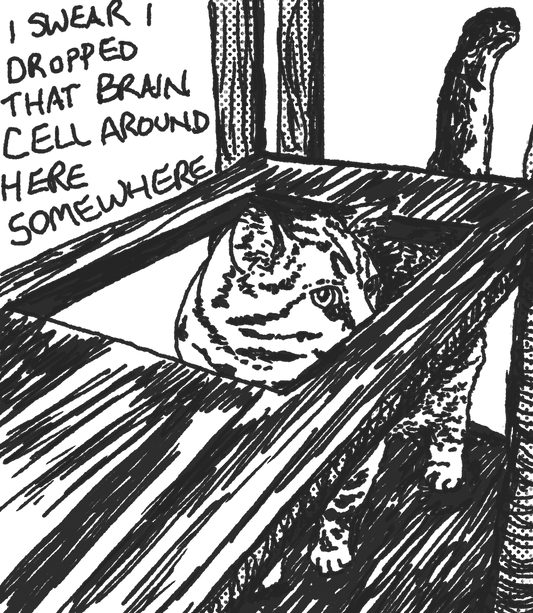 Dropped a Brain Cell