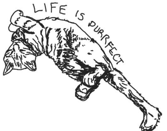 Life is Purrfect