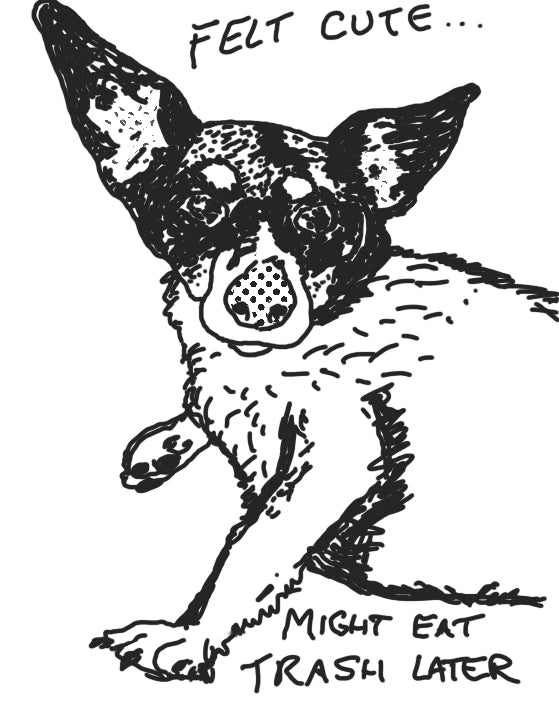 Felt Cute, Might Eat Trash Later