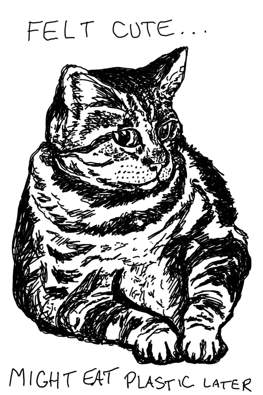 Felt Cute, Might Eat Plastic Later