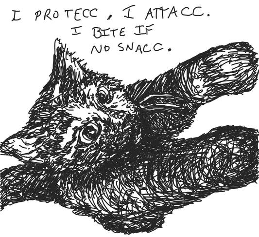 I Protecc, I Attacc. I Bite if no Snacc.